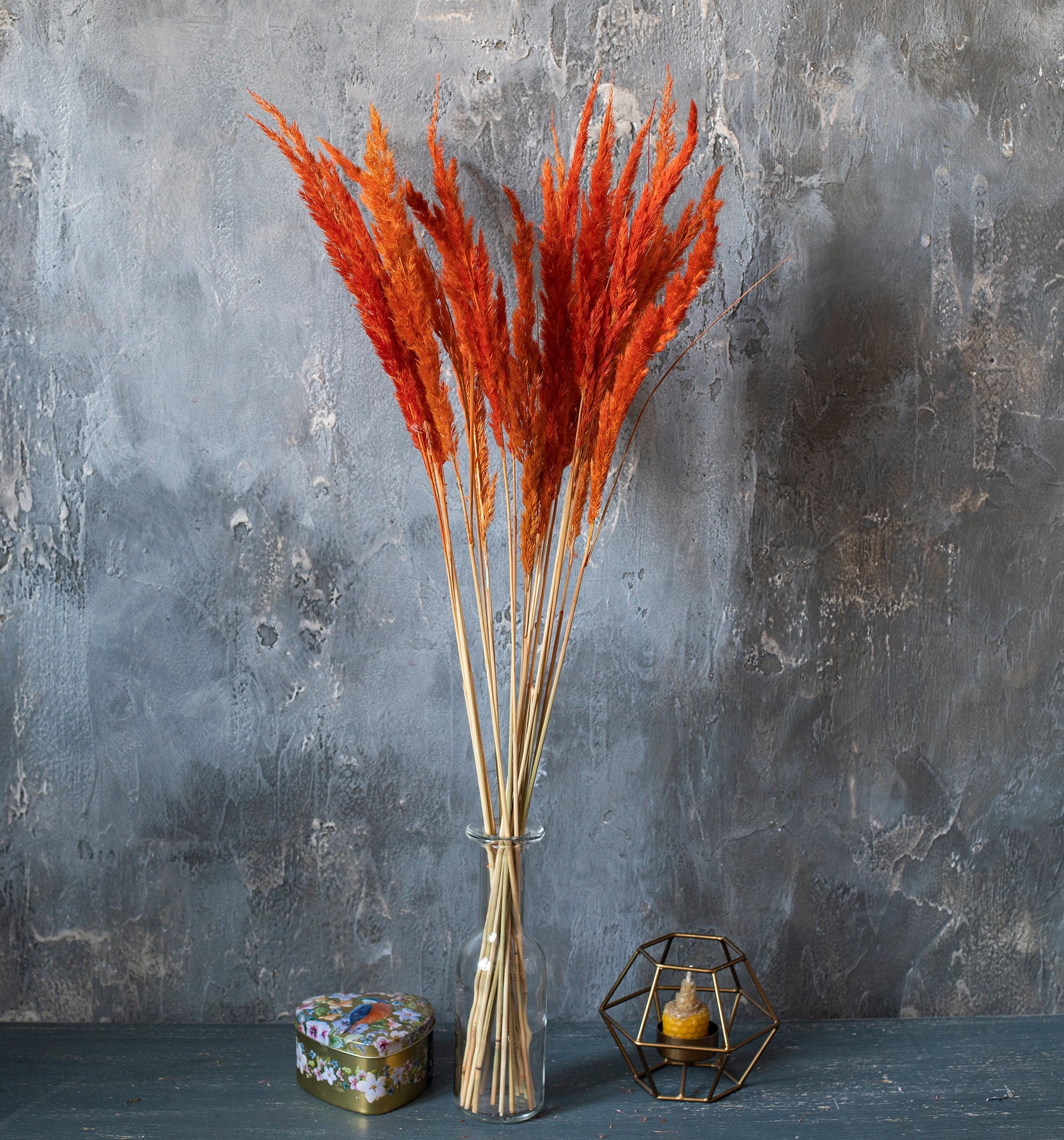 20 stems Burn orange color Pampas Grass Reed Grass Reed Etsy