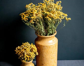 Ramo de flores silvestres amarillas secas / Decoración rústica bohemia para el hogar / Relleno para jarrones de estilo campestre / Ramo de flores secas