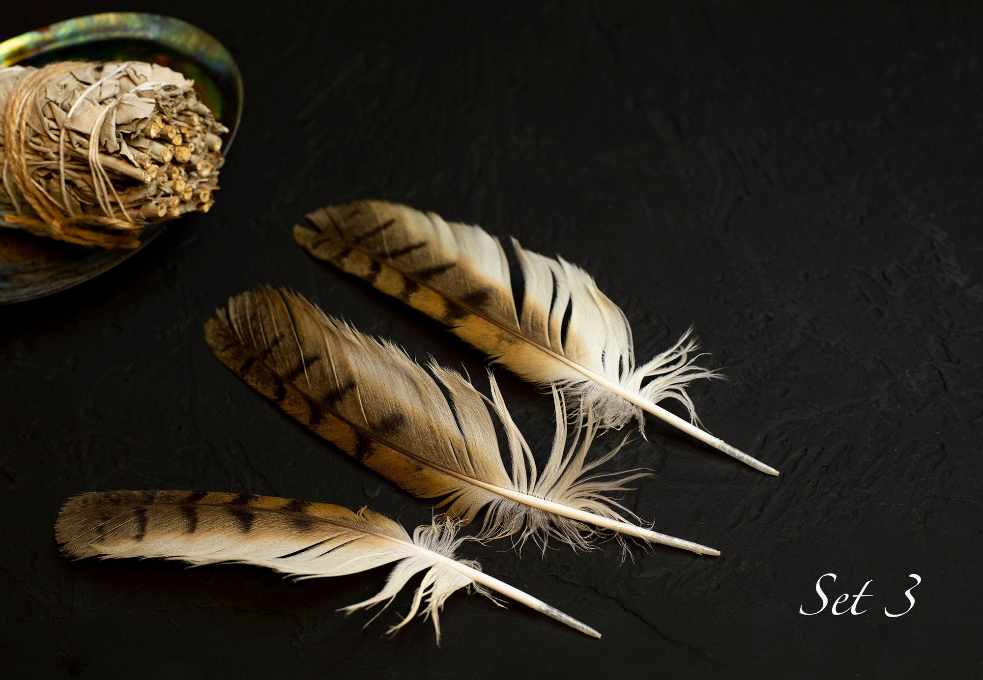 Raras plumas de búho natural Búho largo búho plumas de otus Etsy