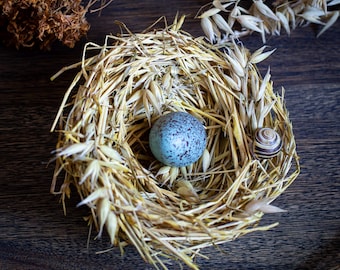 Song Thrush Replica Bird Egg - Etsy