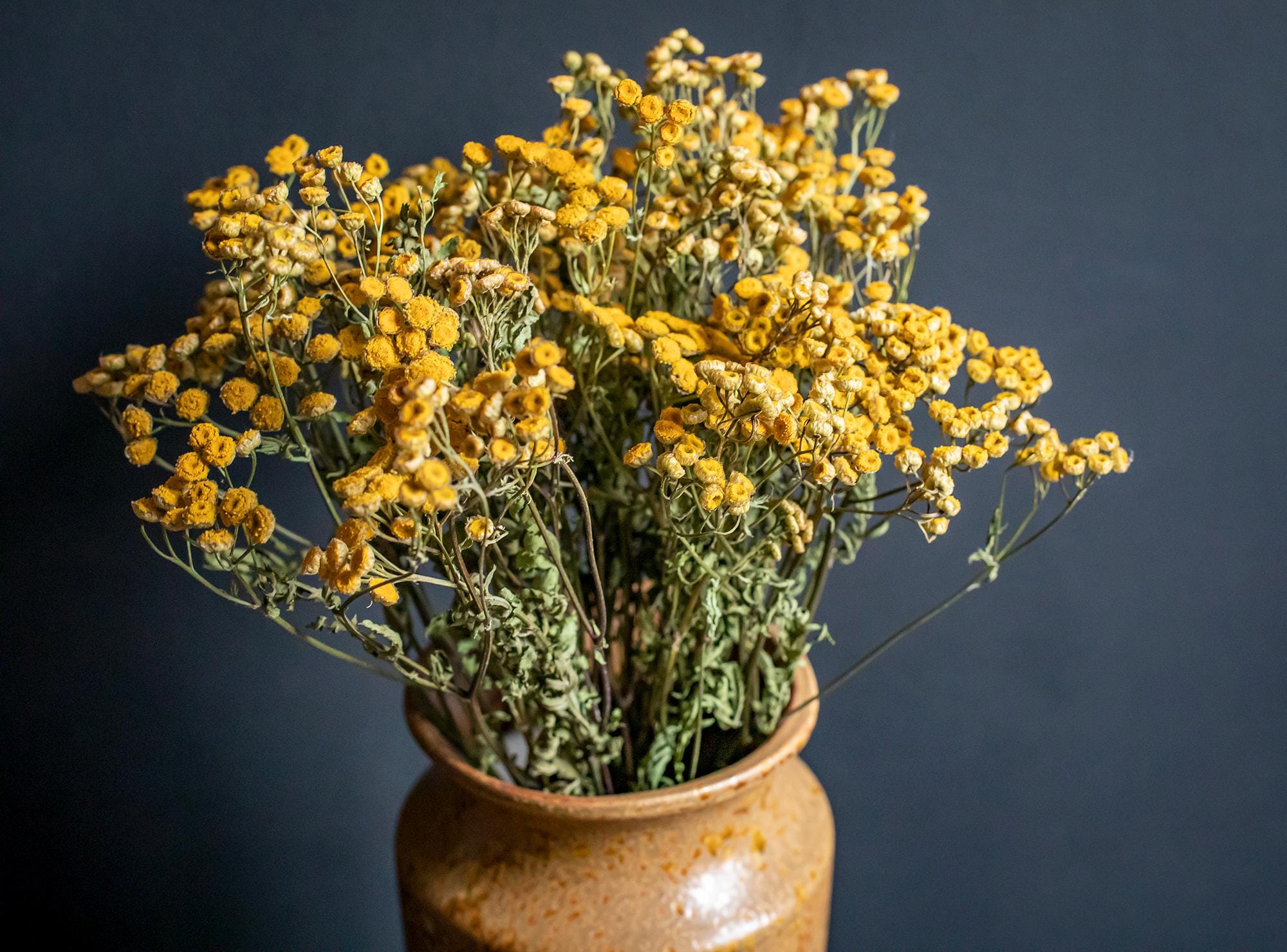 Vaso Fiori Creativo In Resina A Forma Di Lumaca - Giallo, 14x14x12 Cm - Decorazione Per Piante Grasse E Casa