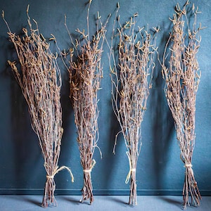 May include: Four bundles of dried brown twigs tied together with twine. The twigs are arranged vertically against a blue background.