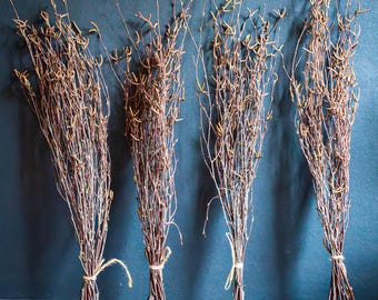 May include: Four bundles of dried brown twigs tied together with twine. The twigs are arranged vertically against a blue background.