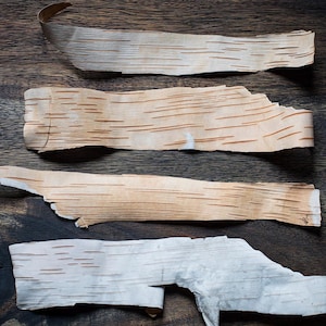 Natural thin like a paper birch bark stripes  for craft Birch  Rustic decoration supply