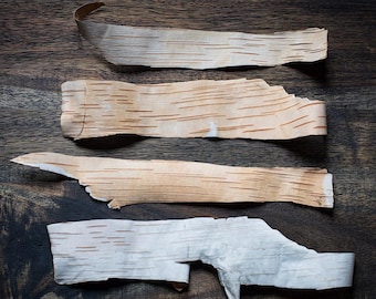 Natural thin like a paper birch bark stripes  for craft Birch  Rustic decoration supply