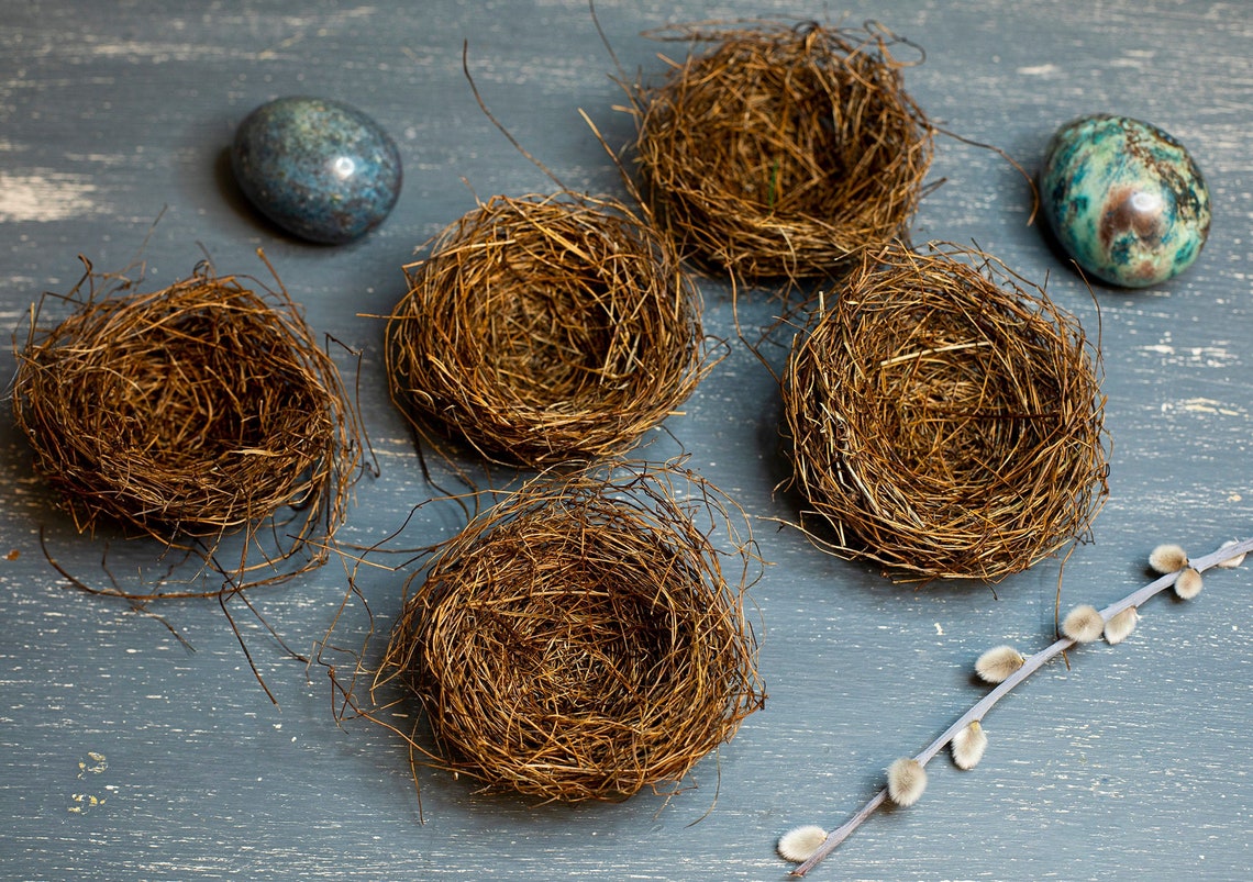 Set of 5 Hand made birds nests 10 cm Rustic home decor Etsy