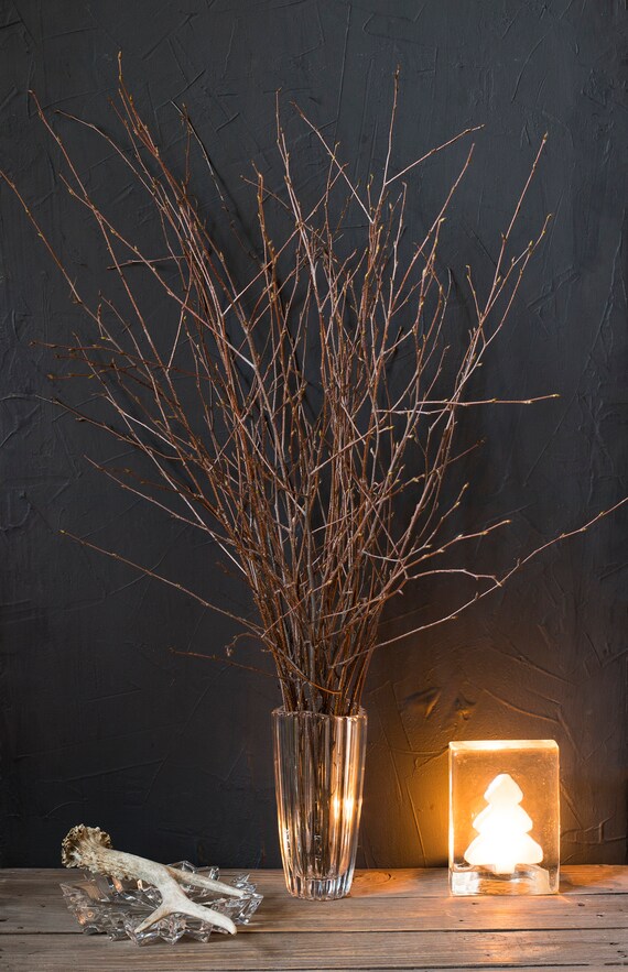 20 LONG Birch Branches 277real All Natural White Birch Twigs Etsy