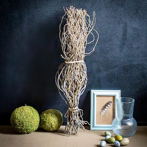 Natural Curly Willow Branches ( approx.60cm) – Dried Organic Sticks for Floral Arrangement
