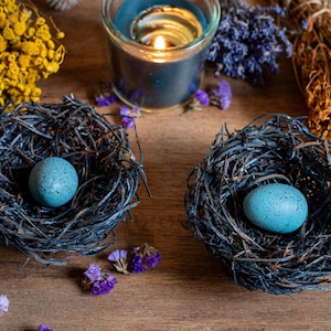 Handmade Bird Nest Set: Rustic Farmhouse Decor with Faux Blue Eggs