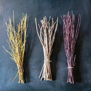 SET med 3 naturliga Cornus-grenar, torkade fläderbärskvistar, rustik vasfyllning (50-58 cm)