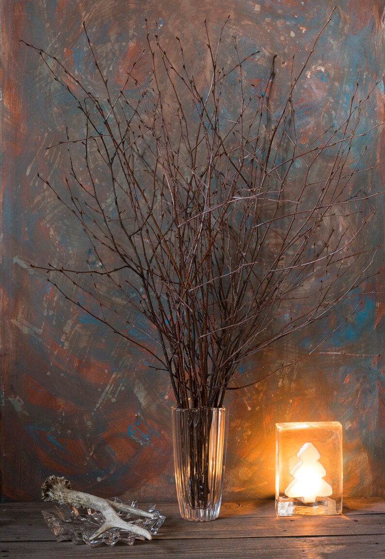 20 LONG Birch Branches 277real All Natural White Birch Twigs Etsy