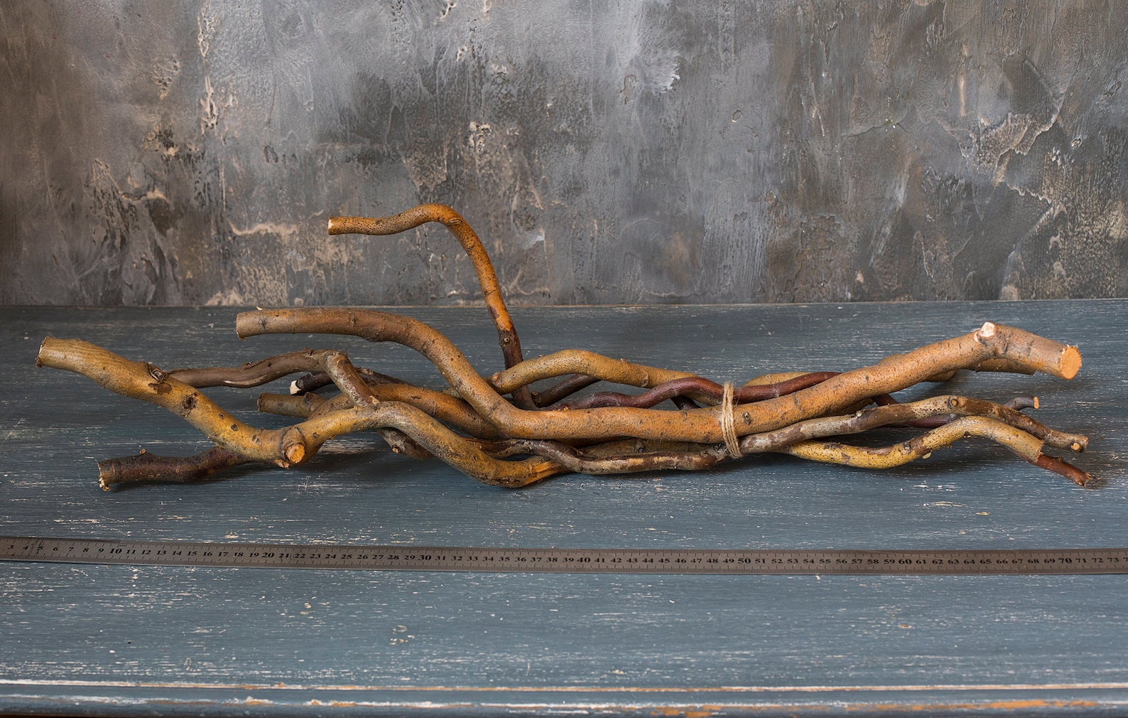 7 Curly willow sticks Natural Curly Willow branches Easter Etsy