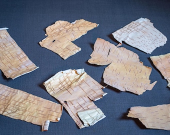 Natural thin like a paper birch bark sheets for craft Birch  Rustic decoration supply