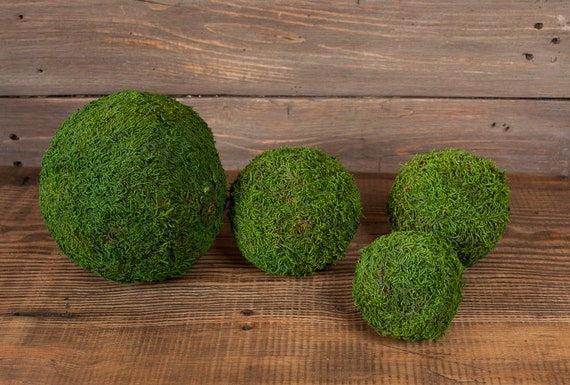 Hanging Moss Balls Set Of 5 Natural Green Moss Balls Woodland Etsy