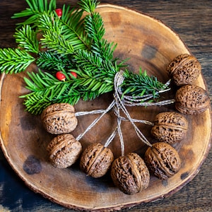 Può includere: Un vassoio di legno rustico mostra una collezione di noci marroni, ognuna con una trama complessa. Rami verdi di sempreverdi con bacche rosse sono legati con spago, aggiungendo un tocco festivo. La composizione è su una superficie di legno scuro.