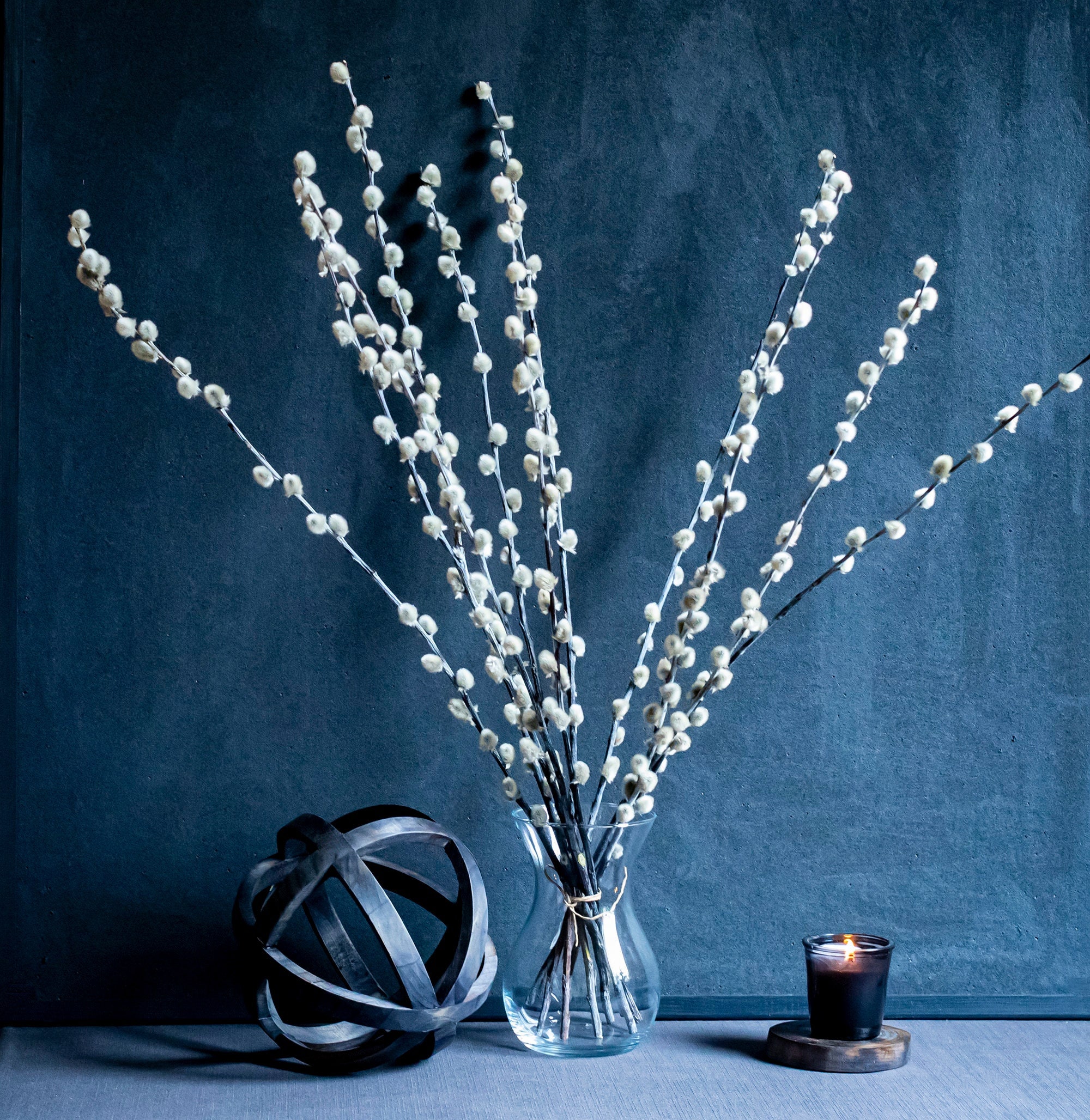 LONG 10 Pussywillow branches (27,55 ) Twigs Catkins Spring decor Easter  decor Vases filler Dried flowers Dried pussy willow bouquet