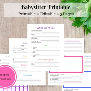 Babysitter Printable - Babysitter Info - INSTANT DOWNLOAD