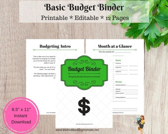 Basic Budget Printable