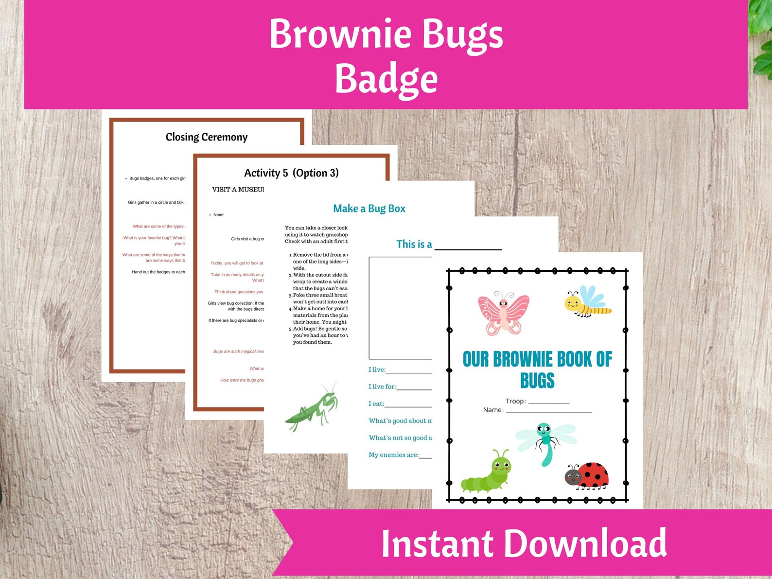 Brownie Bugs Badge Activity Kit Girls Scout Troop Organizer Printable