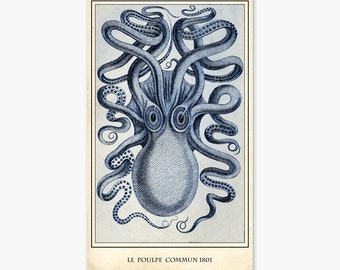 squid art etsy