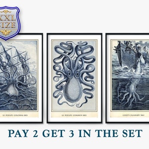 Set of 3 Sea Monsters Giant Squid Octopus Kraken Giclee Print Reproduction Painting Large Canvas Paper Wall Art Poster Ready to Hang Frame