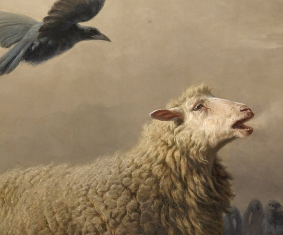 Art Prints Anguish Sheep Over Lamb Black Crows By August Friedrich Schenck Vintage Art Art
