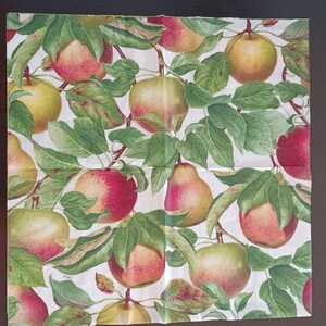 Tovaglioli Decoupage - set di 4 - pranzo Tovaglioli di carta per Decoupage Carta per Decoupage Mela per Decoupage Piante Tovaglioli