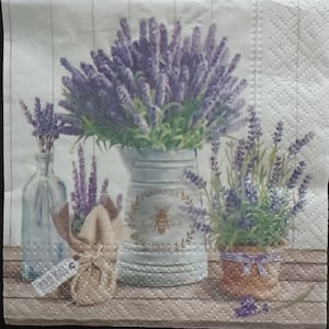 Set di 4 tovaglioli Decoupage - pranzo Tovaglioli di carta per Decoupage