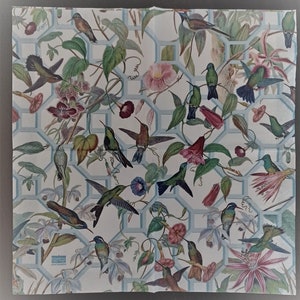 Tovaglioli per decoupage - set da 4 - pranzo Tovaglioli di carta per decoupage Carta per decoupage Uccelli per decoupage Tovaglioli con uccelli