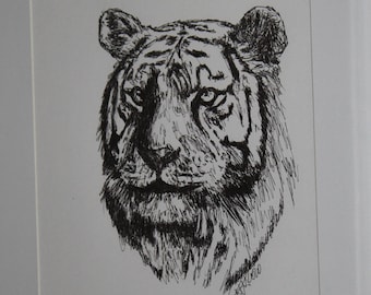 May include: A black and white pen and ink drawing of a tiger's head. The tiger is looking directly at the viewer with a serious expression. The drawing is framed in a silver frame.