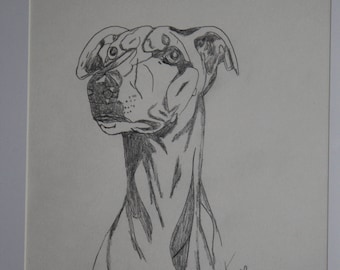 Galgo Drawing Pencil Framed 30 x 40 cm Hand-painted Unique