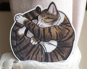 Puede incluir: Una pegatina circular que muestra a un gato atigrado marrón y negro acurrucado en forma de bola mientras duerme. El gato tiene pelaje blanco en el pecho y las patas, con rayas oscuras en el cuerpo. La pegatina está sujeta a un alzapaños de cortina de tela rosa pálido.
