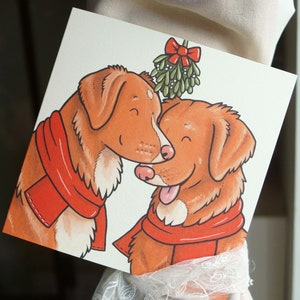 TOLLER Nova Scotia Duck Tolling Retriever (NSDTR) Xmas holiday Christmas cards 5-pack by Yorkshire animal artist Jess Chappell