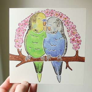 Art d'oiseau Perruche ondulée - carte de voeux imprimée aquarelle par l'artiste Yorkais J Chappell, anniversaire, mariage, anniversaire, Saint-Valentin
