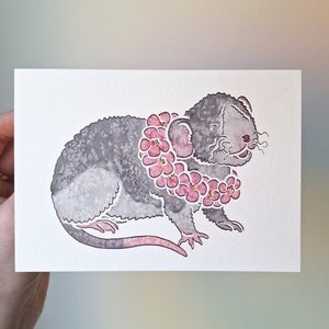 ダンボ レックス ペット ファンシー ラット 水彩画 デザイン ノート グリーティング カード ヨーク アーティスト ジェス チャペル作、記念日、結婚式、誕生日、お礼など