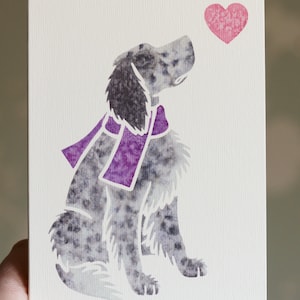 Cartes de correspondance Belton bleu anglais SETTER / aquarelle imprimée par un artiste britannique / cadeau, voeux, merci, perte d'un animal de compagnie, condoléances, anniversaire