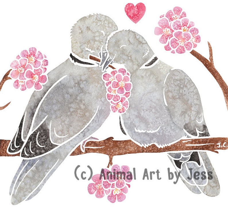 COLLARED DOVES pigeons birds printed watercolour design greetings card by York animal artist birthday love anniversary wedding