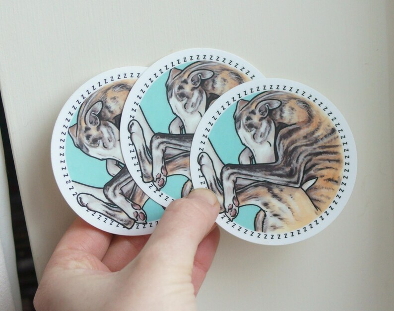 A hand holding up three sleeping Whippet dog stickers against a beige background