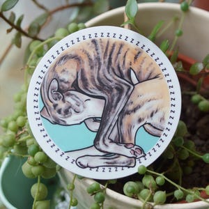 A vinyl sticker of a sleeping brindle and white Whippet dog, curled up with a blue background and zzzzz all the way around the outside. The sticker is circular. It is placed on top of a plant.