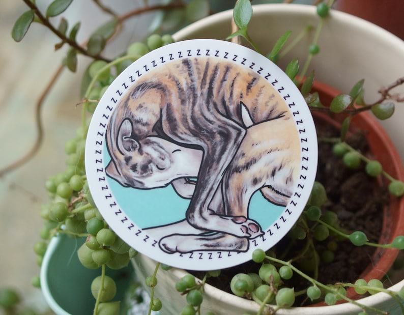 A vinyl sticker of a sleeping brindle and white Whippet dog, curled up with a blue background and zzzzz all the way around the outside. The sticker is circular. It is placed on top of a plant.
