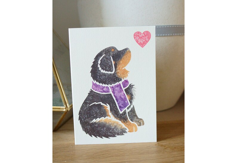 May include: A greeting card featuring a black and brown dog with a purple scarf looking up at a pink heart.