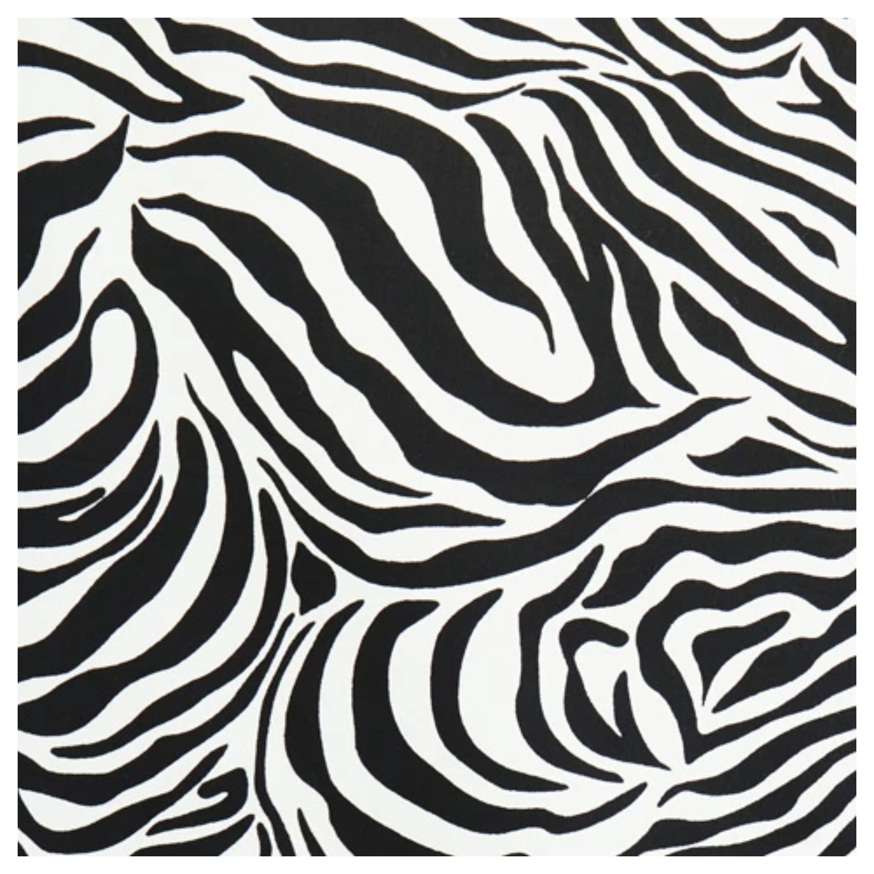 Zebra Animal Skin Print 100% Cotton Poplin Fabric by Rose & - Etsy UK