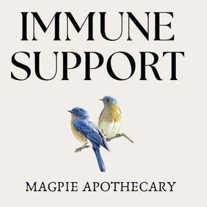 May include: Immune Support product label with the text "Immune Support" and "Magpie Apothecary" in black text on a white background. Two bluebirds are perched on a branch.