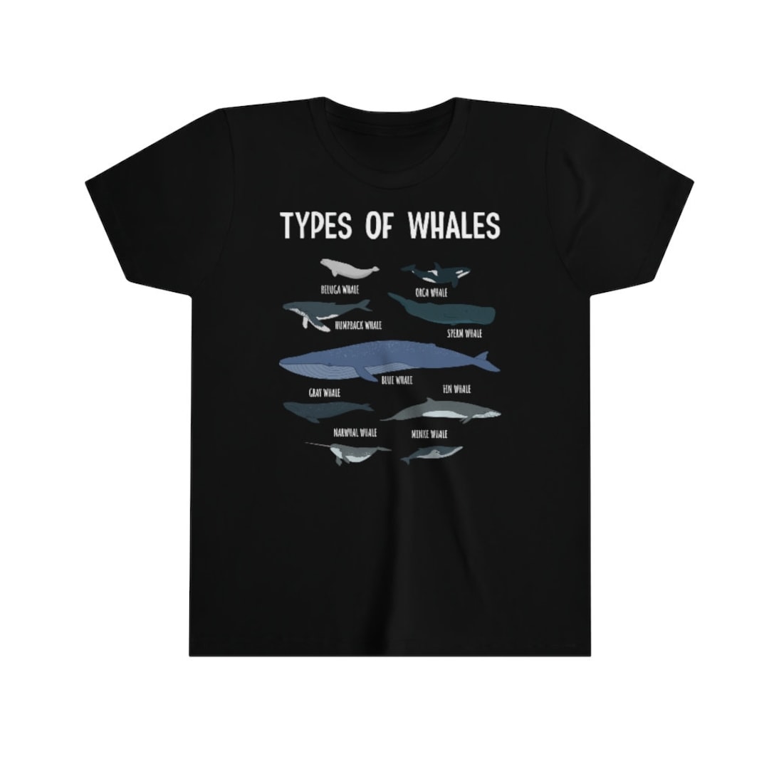 Kids Whale Lover Shirt, Types of Whales T Shirt, Ocean Lover Gifts