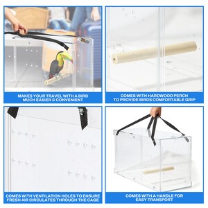 Porta pájaros para guacamayos totalmente acrílico / Acrílico reductor de ruido / Acrílico de primera calidad / Fabricado en EE. UU. imagen 5