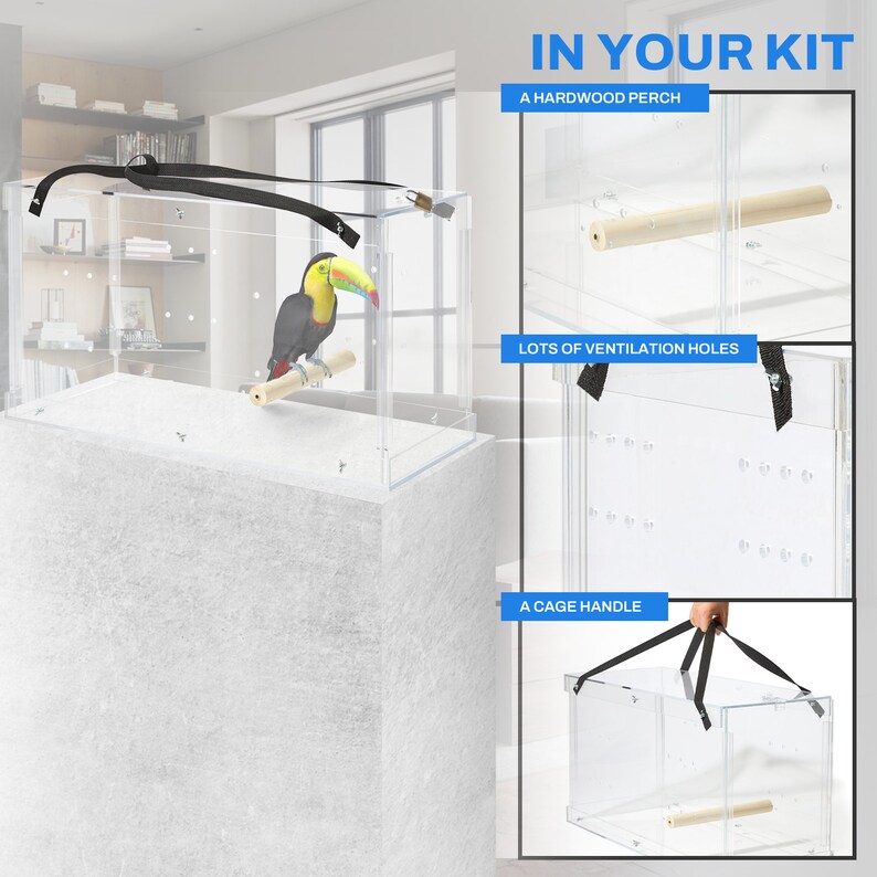 Porta pájaros para guacamayos totalmente acrílico / Acrílico reductor de ruido / Acrílico de primera calidad / Fabricado en EE. UU. imagen 4