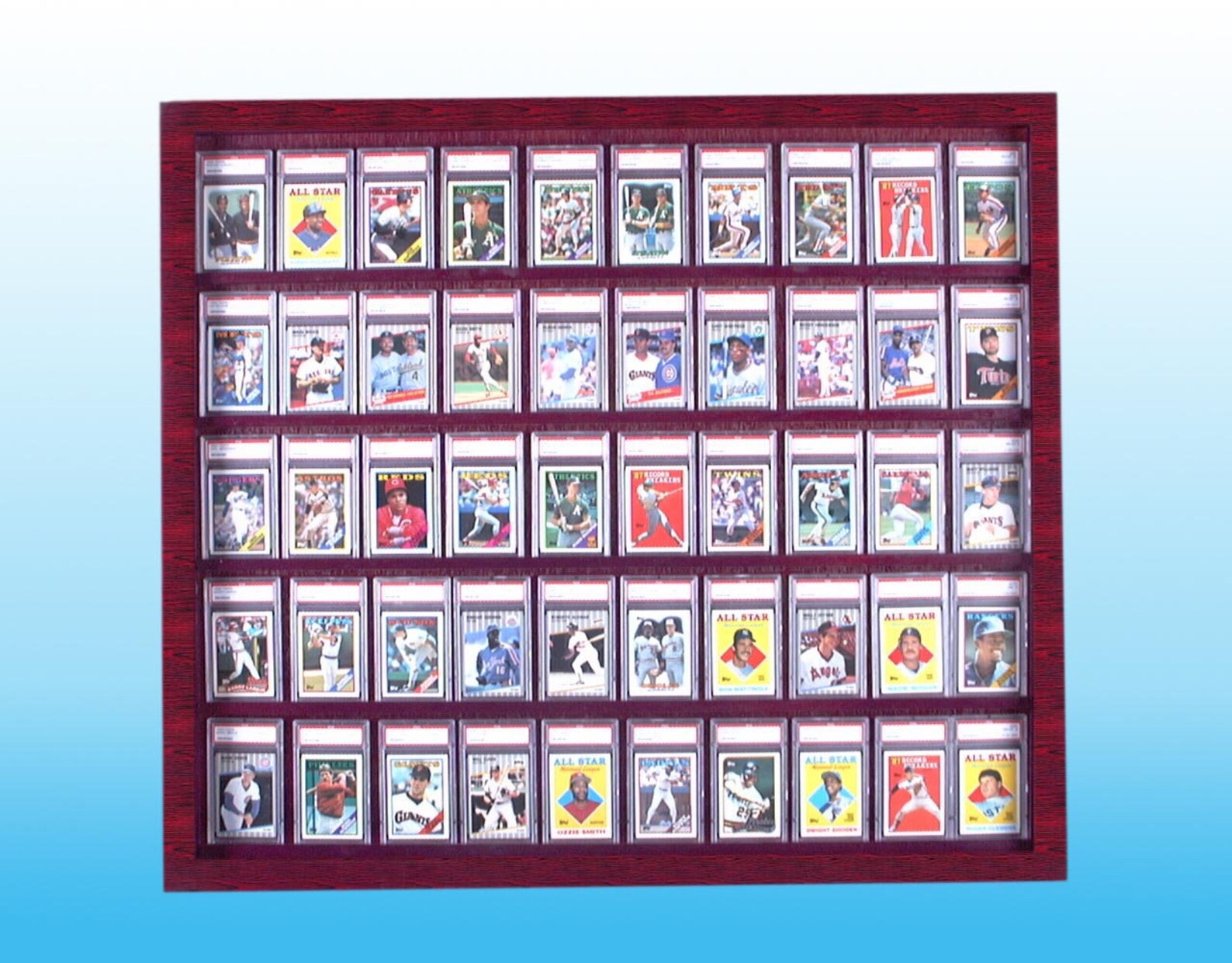 50 Graded Baseball Card Displays Case Etsy