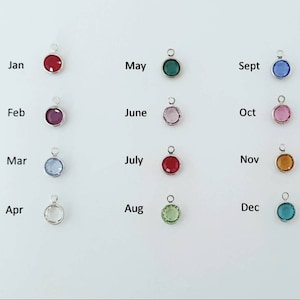 May include: Twelve small round charms with different colored crystals, each charm representing a month of the year. The charms are labeled with the month's abbreviation: Jan, Feb, Mar, Apr, May, June, July, Aug, Sept, Oct, Nov, Dec.
