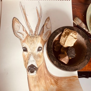 Deer- Original, using Handmade Natural Pigment Paints