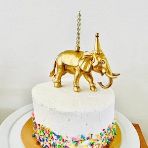 Circus Animal Cake Topper with Candle